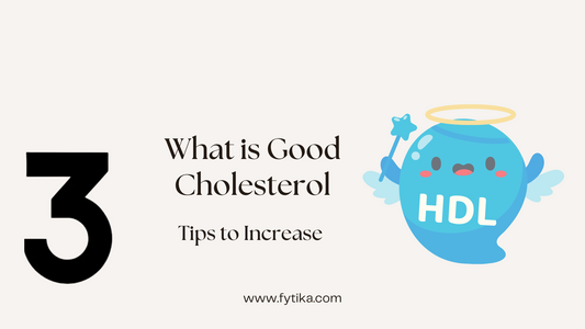 What is Good Cholesterol? 3 Tips to Increase It - Fytika Healthcare Products