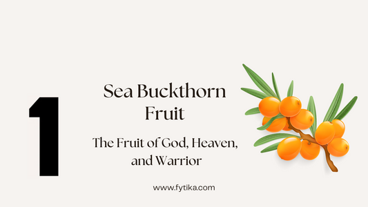 Fytika Blog - Sea Buckthorn Fruit – The Fruit of God, Heaven, and Warrior