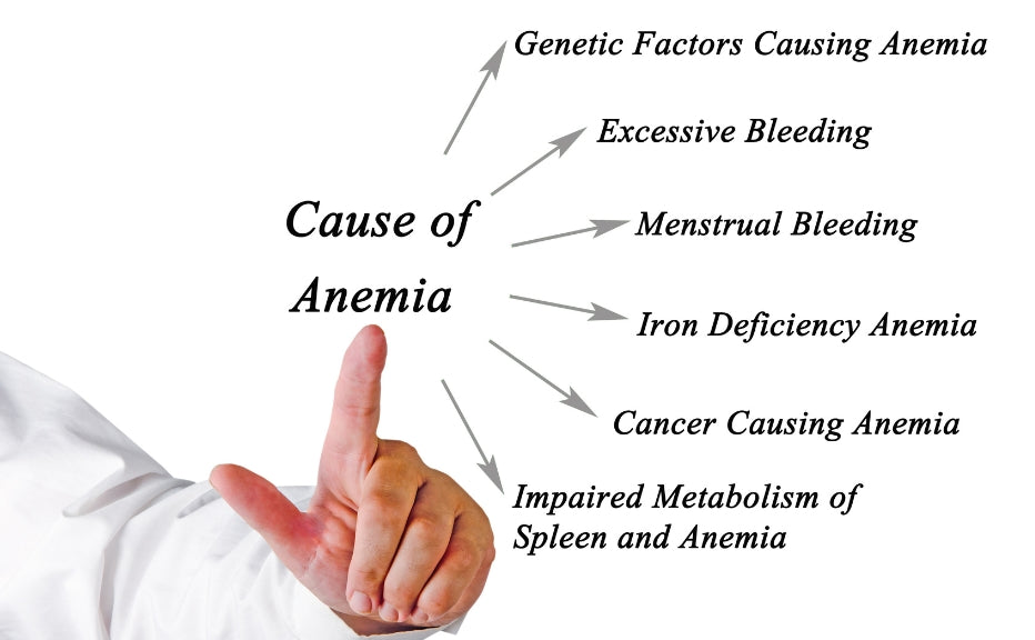 A Comprehensive Guide to Understanding and Treating Anemia Naturally - Fytika Healthcare Products