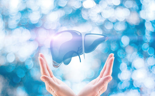 Fytika Fit Liver: Your Partner in Liver Health! - Fytika Healthcare Products