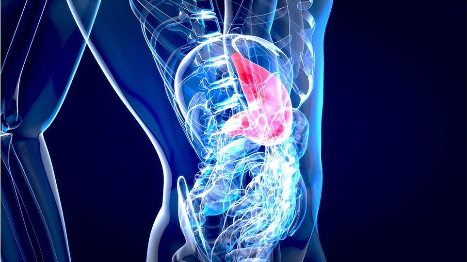 World Liver Day: A Call to Action for Liver Health, Celebrating the Unsung Hero of the Body. - Fytika Healthcare Products