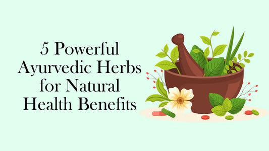Discover 5 Ayurvedic Herbs for Natural Healing & Better Health