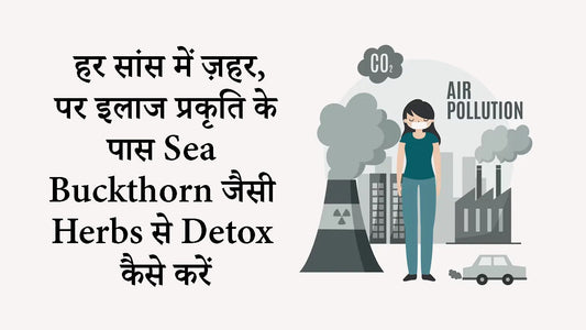 हर सांस में ज़हर, पर इलाज प्रकृति के पास — Sea Buckthorn जैसी Herbs से करें Detox