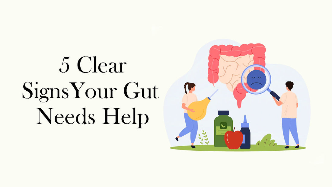 5 Clear Signs Your Gut Needs Help - Fytika Healthcare Products