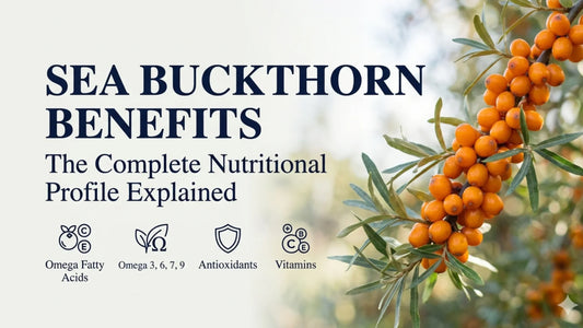 Sea Buckthorn benefits infographic showing nutritional profile with omega fatty acids, vitamins, antioxidants, and sea buckthorn berries