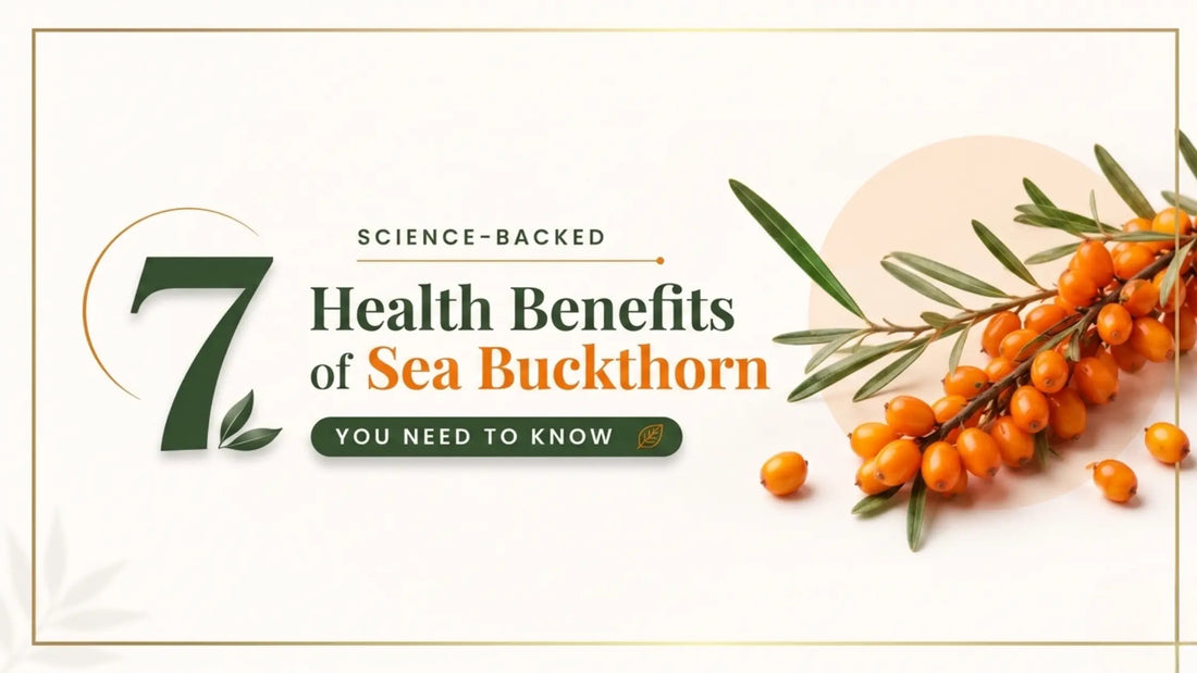 Sea buckthorn berries and oil highlighting benefits for skin health, immunity, heart support, digestion, liver function, and metabolic wellness.