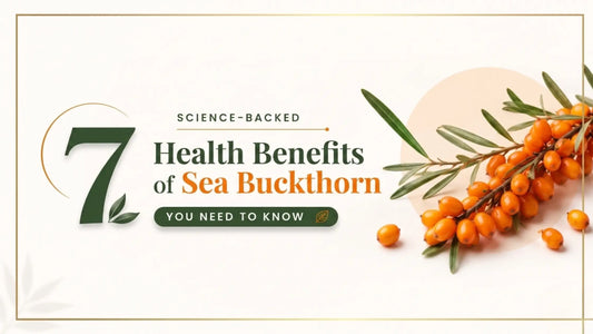 Sea buckthorn berries and oil highlighting benefits for skin health, immunity, heart support, digestion, liver function, and metabolic wellness.