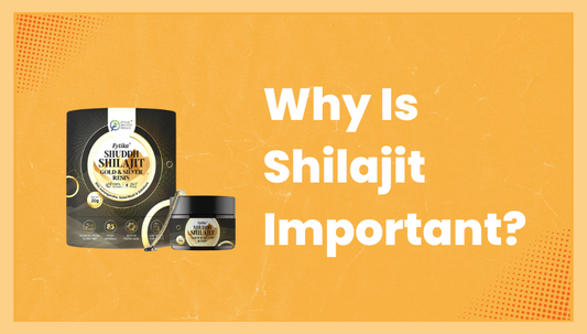 Why Is Shilajit Important?