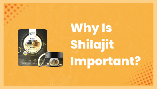 Why Is Shilajit Important? - Fytika Healthcare Products
