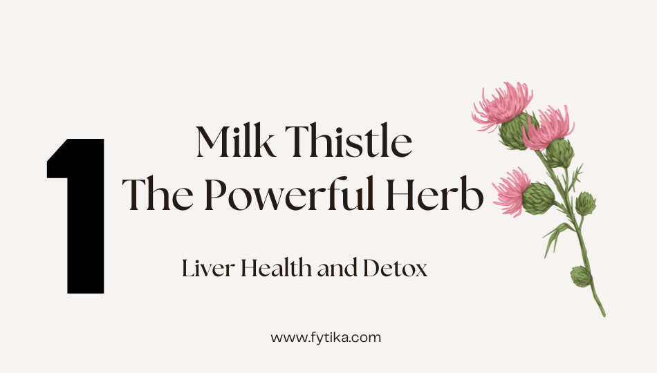 Milk Thistle: The Ayurvedic Herb for Liver Health and Detox