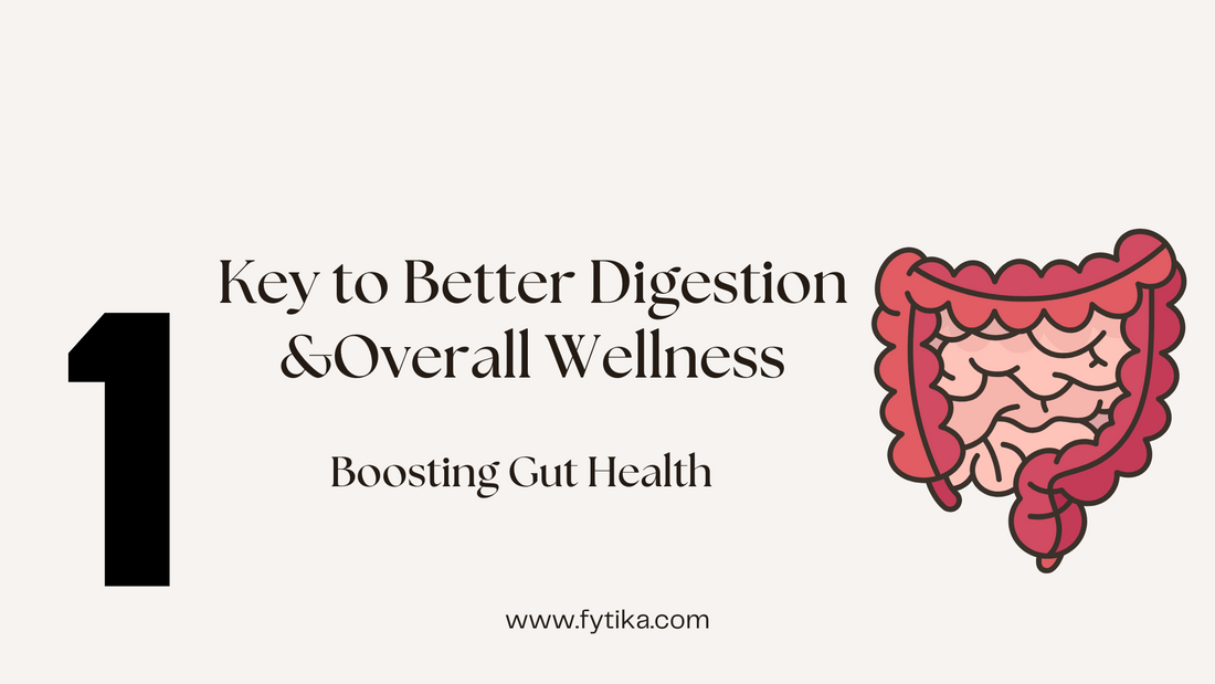 Boosting Gut Health: The Secret to Better Digestion and Overall Wellness - Fytika Healthcare Products