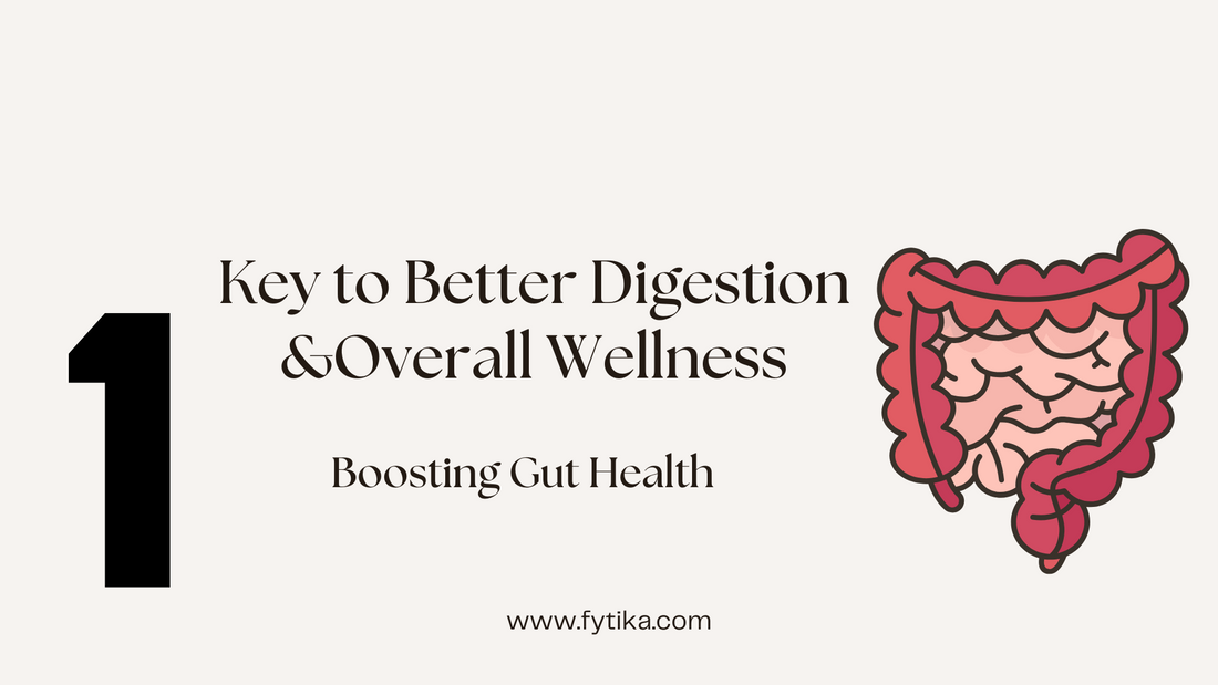 Fytika Blog - Boosting Gut Health: The Secret to Better Digestion and Overall Wellness