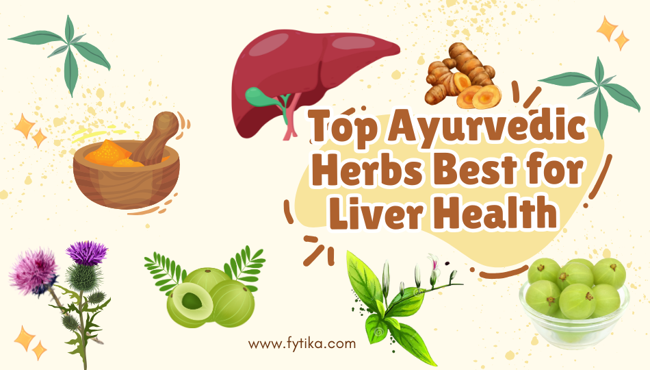 Top Ayurvedic Herbs Best for Liver Health - Fytika Healthcare Products