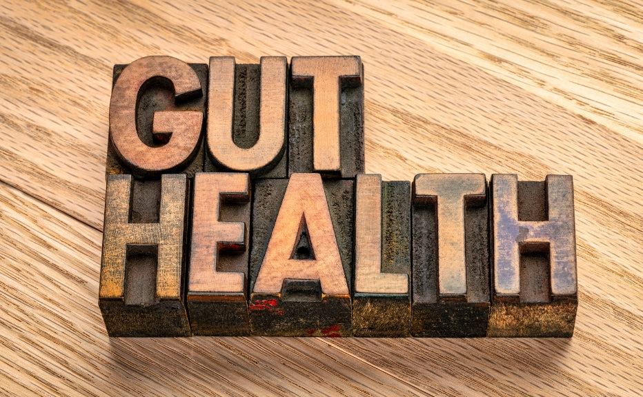 Know the connection between gut health and overall well-being