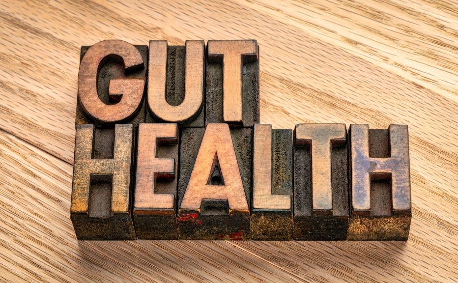 Know the connection between gut health and overall well-being - Fytika Healthcare Products