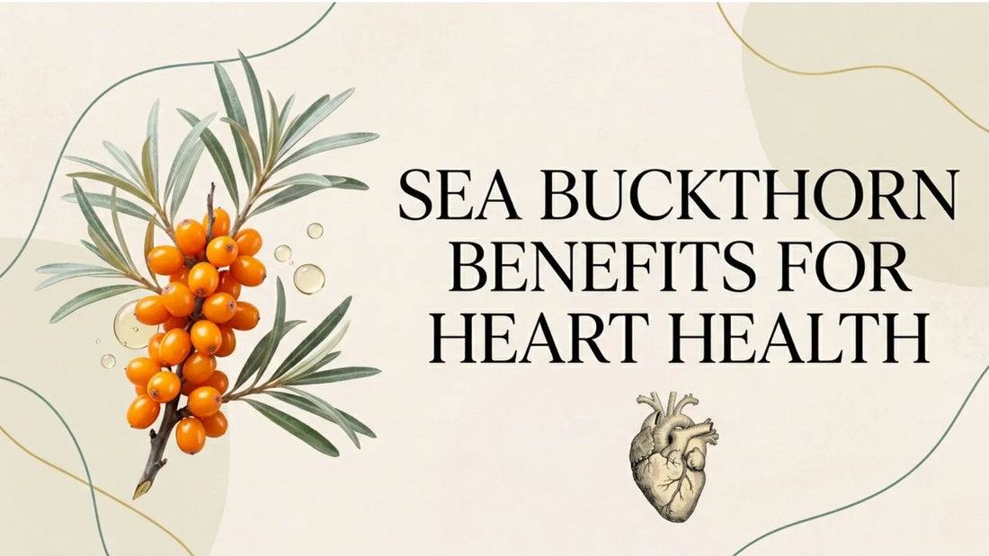 Sea buckthorn benefits for heart health infographic featuring sea buckthorn berries and cardiovascular wellness illustration.