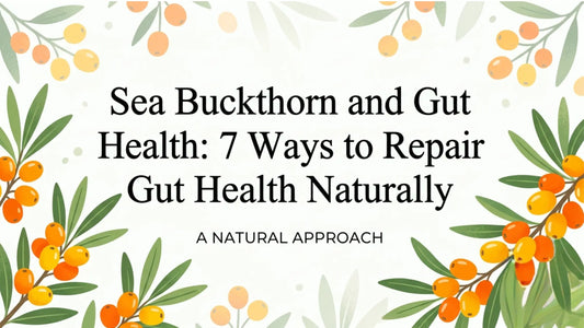 Minimal blog banner featuring sea buckthorn berries and green leaves surrounding the title “Sea Buckthorn and Gut Health: 7 Ways to Repair Gut Health Naturally – A Natural Approach on a light botanical background.