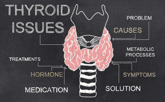 #WorldThyroidDay2023: थायरॉइड से जूझ रहे हैं, तो स्वस्थ रहने के लिए इन आहार को अपनाएं! - Fytika Healthcare Products