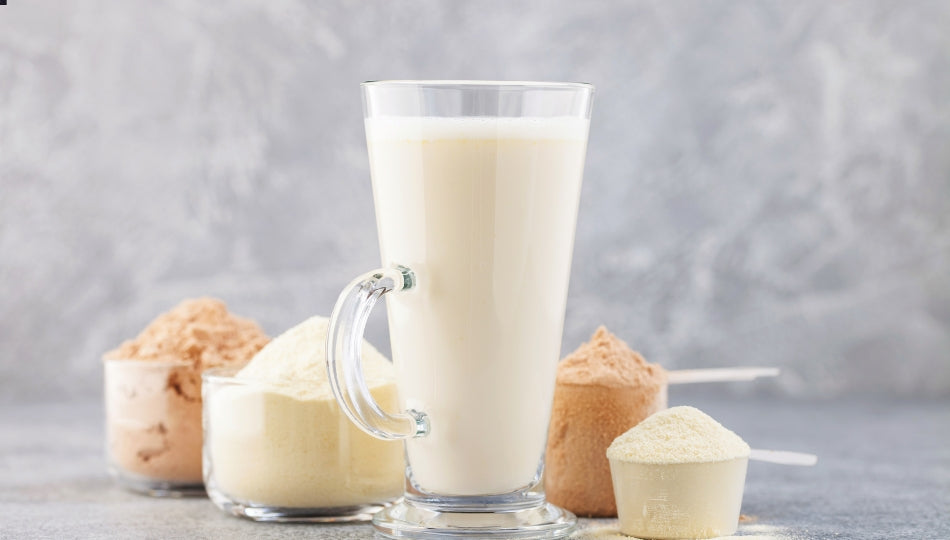 5 Key Advantages of Using Quality Protein Powder Daily - Fytika Healthcare Products