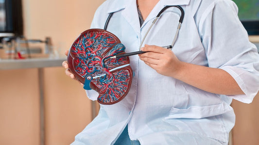 गर्मी में होने वाली प्रमुख लिवर समस्याओं की रोकथाम कैसे करें ! - Fytika Healthcare Products