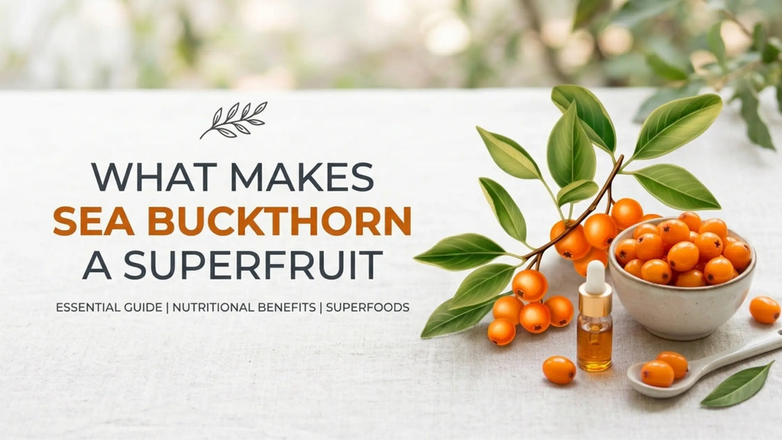 Sea buckthorn berries on branch, superfruit rich in vitamin C and antioxidants, labeled ‘What Makes Sea Buckthorn a Superfruit?'