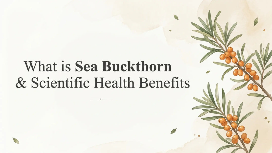 Sea buckthorn branch with orange berries and green leaves alongside the title “What is Sea Buckthorn & Scientific Health Benefits” on a clean botanical-themed background.  