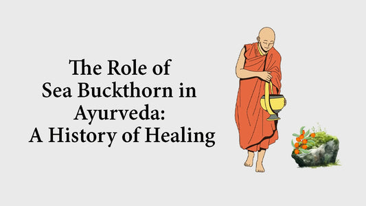 The Role of Sea Buckthorn in Ayurveda: A History of Healing