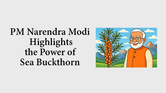 PM Narendra Modi Highlights the Power of Sea Buckthorn