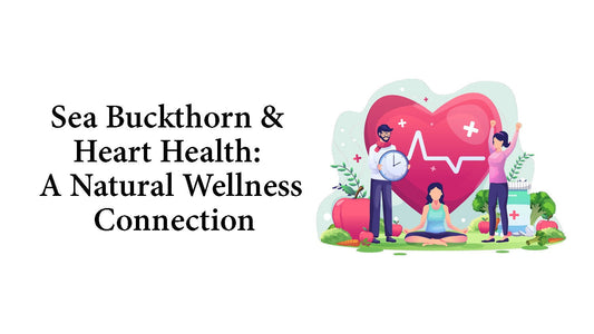 Sea Buckthorn & Heart Health: A Natural Wellness Connection