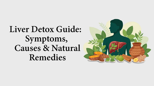 Illustration of human liver with herbs and natural foods for liver detox guide