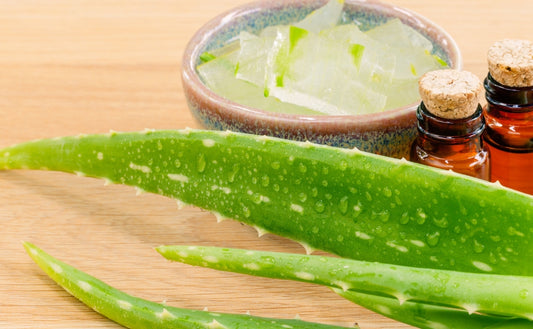 Aloe Vera Juice: Know its Benefits from Diabetes Management to Digestive Health!