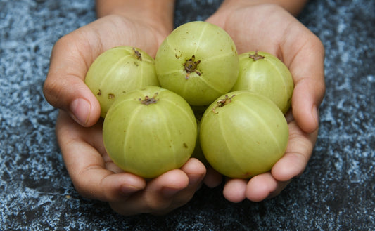 The secret to super soft hair: Make 'AMLA' your best friend