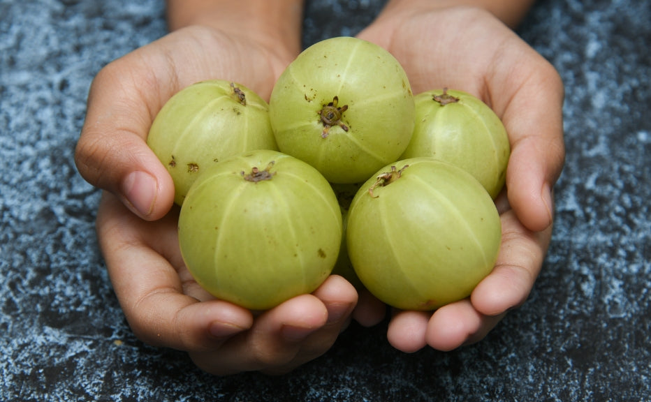 The secret to super soft hair: Make 'AMLA' your best friend - Fytika Healthcare Products