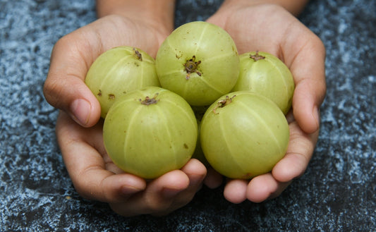 The secret to super soft hair: Make 'AMLA' your best friend - Fytika Healthcare Products