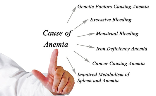 A Comprehensive Guide to Understanding and Treating Anemia Naturally - Fytika Healthcare Products