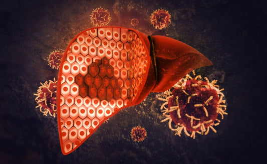 Don't ignore these warning signs of a damaged liver: Learn how to identify and treat the symptoms - Fytika Healthcare Products