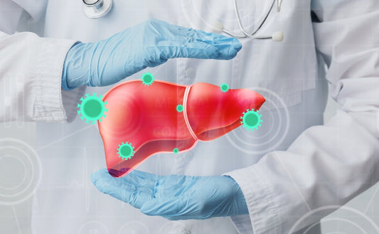 Eat your way to a healthy liver: Top nutritious foods that promote detoxification - Fytika Healthcare Products