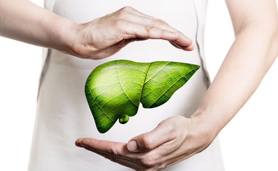 The Ayurvedic Miracle: 5 चमत्कारी हर्ब्स जो लिवर में भरे हुए विषाक्त पदार्थों को निकाल देंगे - Fytika Healthcare Products