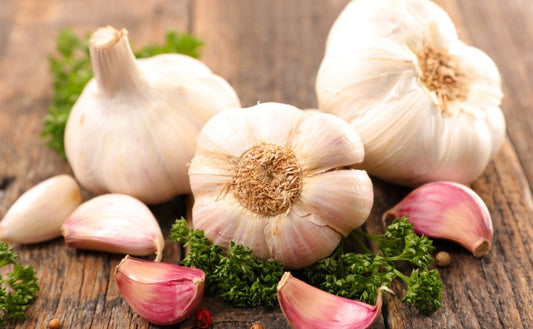 Garlic Cloves: A Mysterious Treasure Trove of Health Benefits - Fytika Healthcare Products