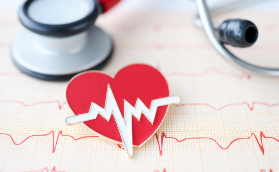 Guarding Your Heart: A Comprehensive Guide to Cardiovascular Health - Fytika Healthcare Products