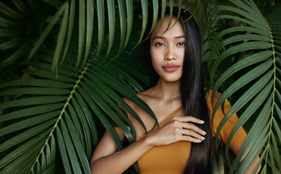 Hair Care Tips: Prevent premature hair loss with these 3 effective herbs! - Fytika Healthcare Products