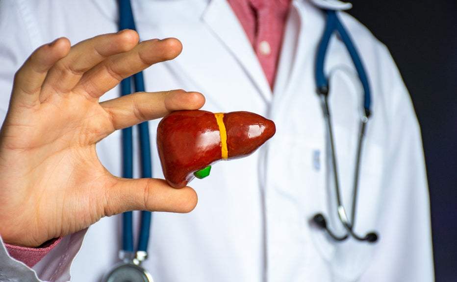 स्वस्थ जीवन का सहारा, Fytika Fit liver टैबलेट - आपके लिवर की देखभाल के लिए! - Fytika Healthcare Products