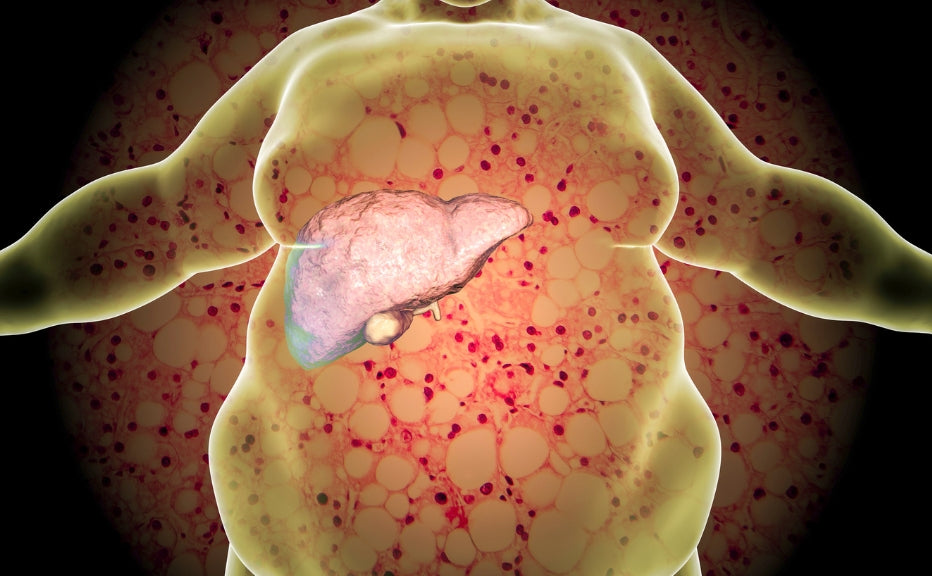 Protect your liver like a pro with these 5 daily habits - Fytika Healthcare Products