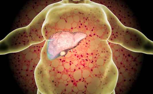 Protect your liver like a pro with these 5 daily habits - Fytika Healthcare Products