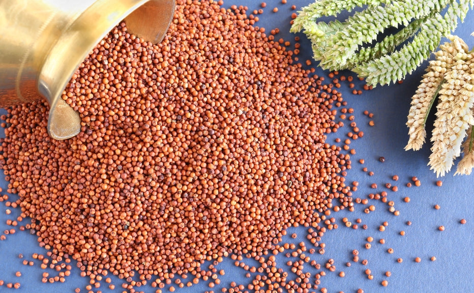 क्या रागी आपकी मदद कर सकती है वजन कम करने में? - Fytika Healthcare Products