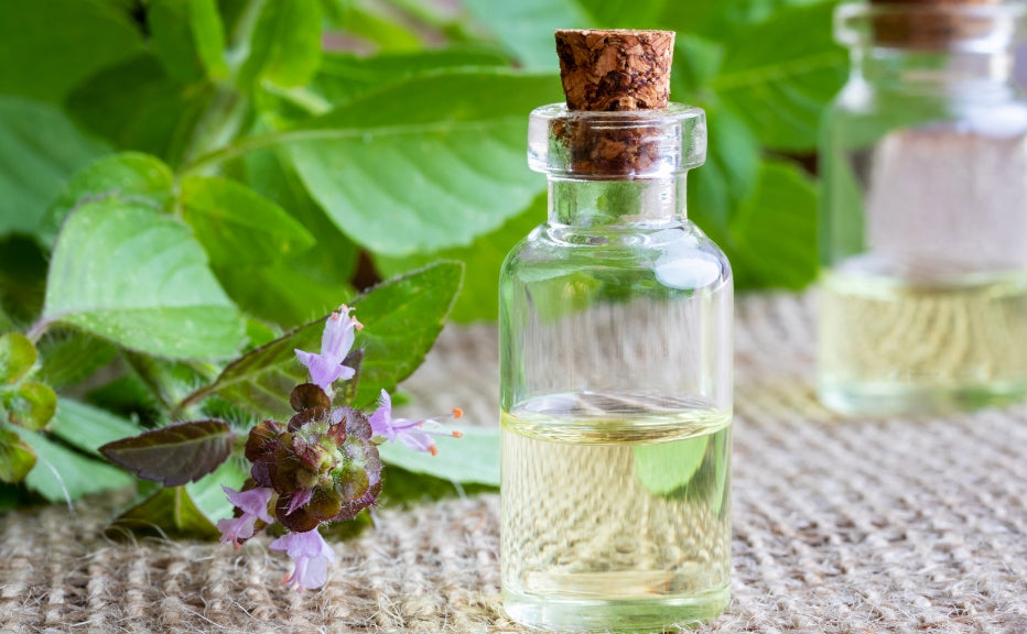 Embrace Tulsi, Nature's Ultimate Anti-Aging Secret for Your Skin! - Fytika Healthcare Products