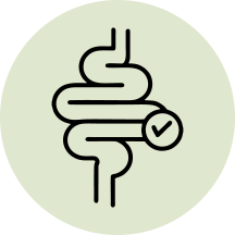 Gut Health